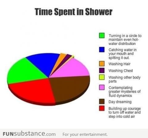 How We Spend Our Time In The Shower