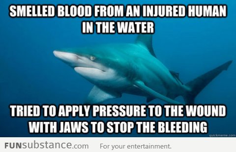 Misunderstood shark