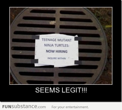 Ninja turtles hiring?