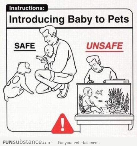 How Not To Introduce Your Baby To Pets