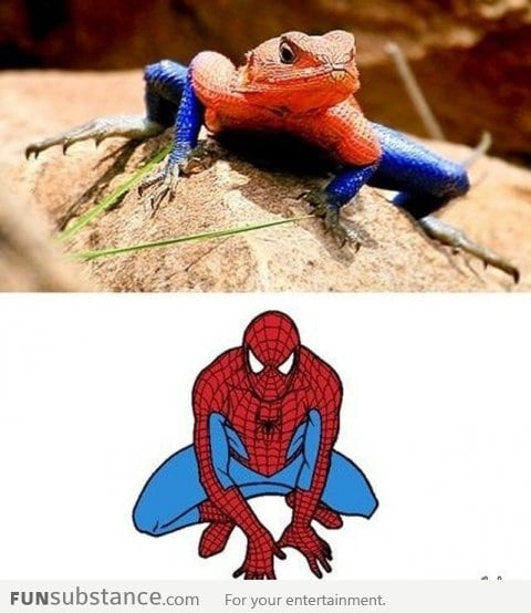 Iguana Man, Iguana Man, Does Whatever Spiderman Can