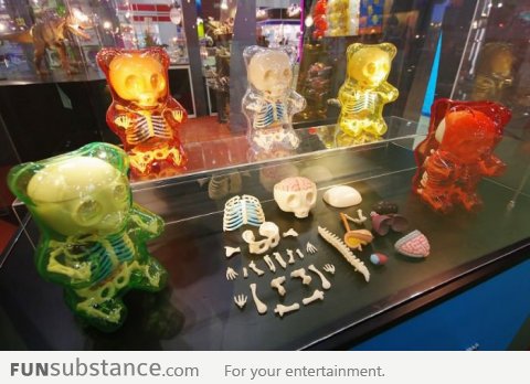 Gummi Bear Anatomy Toys