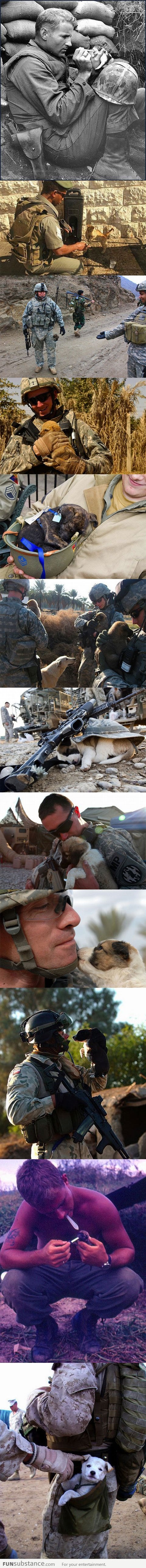 A soldier's best friend