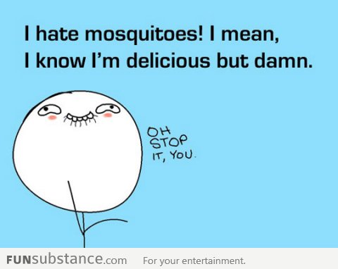 Oh stop it, mosquitoes