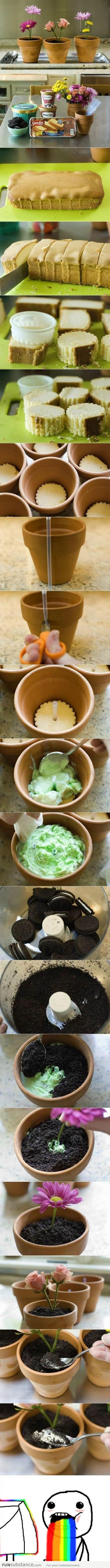 How to Make Your Own Plant Dessert