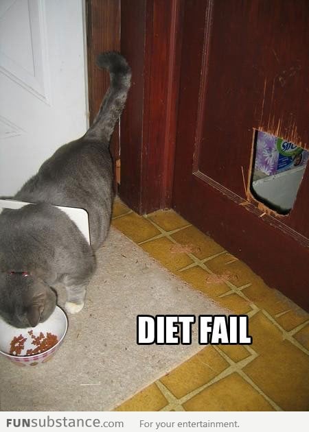 It seems the diet isn't working