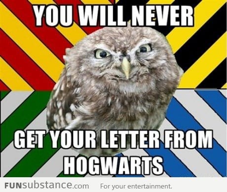 Mean Hogwarts Owl