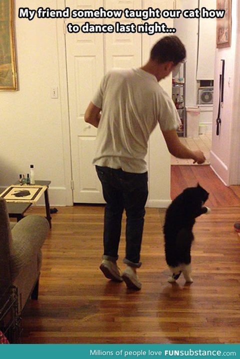 Dancing with the cat