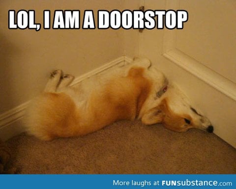 Doorstop dog
