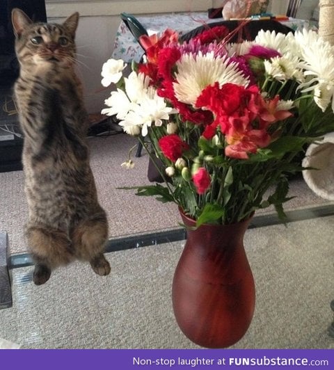Flowers for me?!