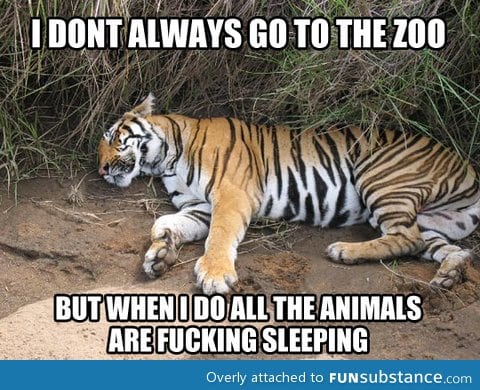 Every time I go to the zoo