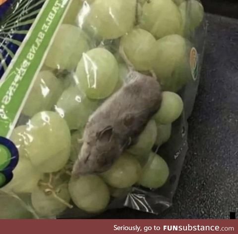 In Russia you get a fluffy toy with vine-grapes!