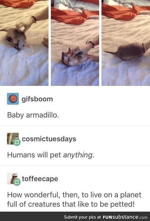Pet the world
