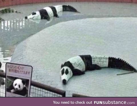 Clearly pandas