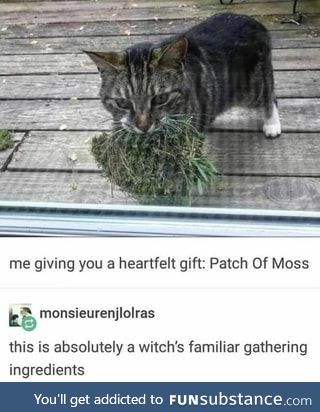 A heartfelt patch of moss for those familiar with witches