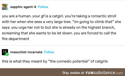 Be careful with them cat girls