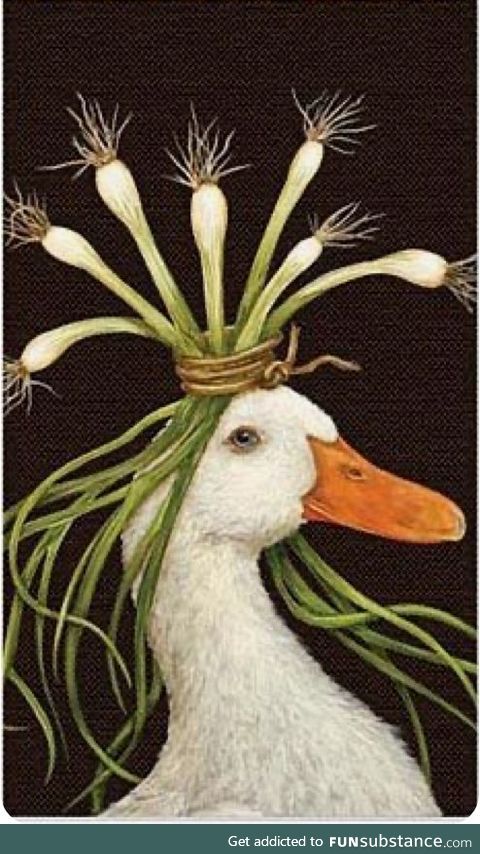 bald? no worry, just get yourself some spring onions!