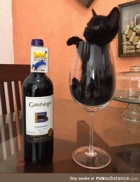 Only the finest of wines