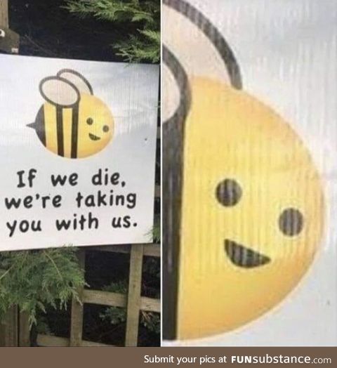 Bee aware