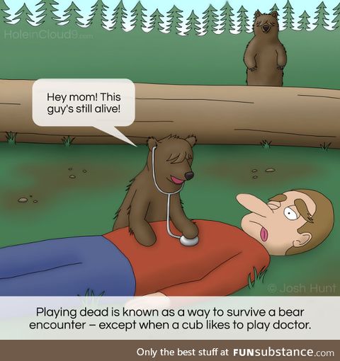 Playing dead with bears