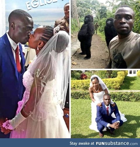 The man whose picture went viral for posing with 2 standing gorillas just got married!