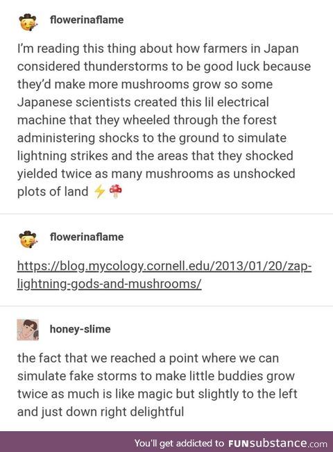 Thor, god of mushrooms