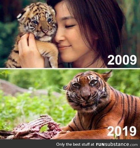 Ten year challenge