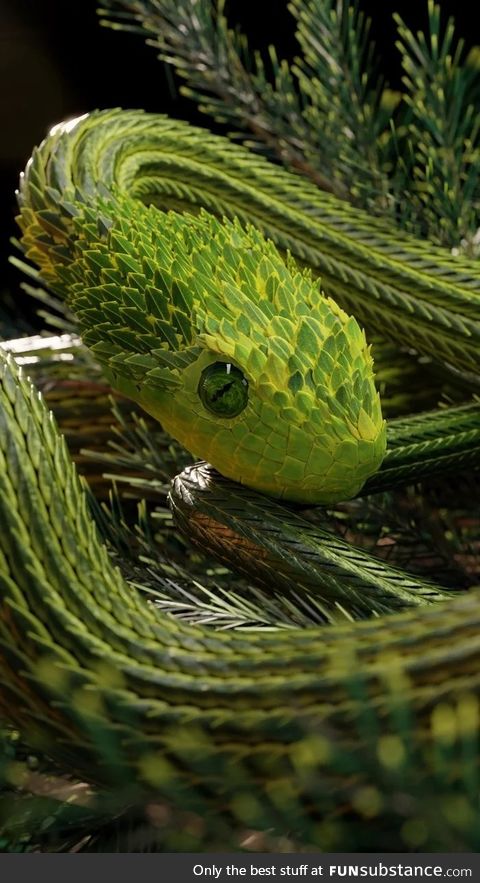 Slithering emerald snake