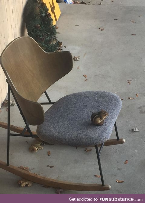 Regular sized chipmunks in ordinary sized chairs eating nuts, probably