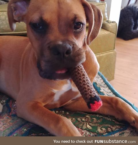 My mom crocheted my dog a cigar