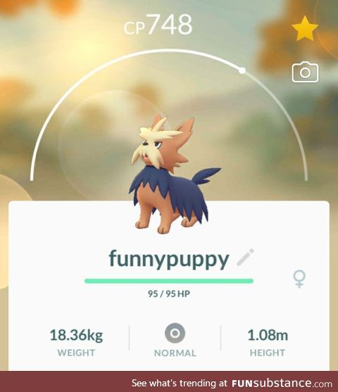 PoGo Project #92 - Hilarious Smol Doggo