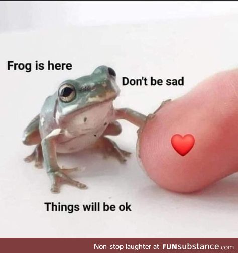 Froggo Fun #323 - Some Monday Motivation for You All