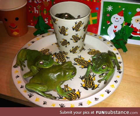 Froggo Fun #325 - Traditional Xmas Snack and Beverage