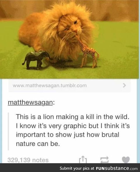 Nature can be brutal