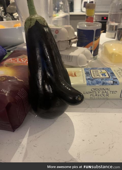 We got a slightly odd eggplant/aubergine today.