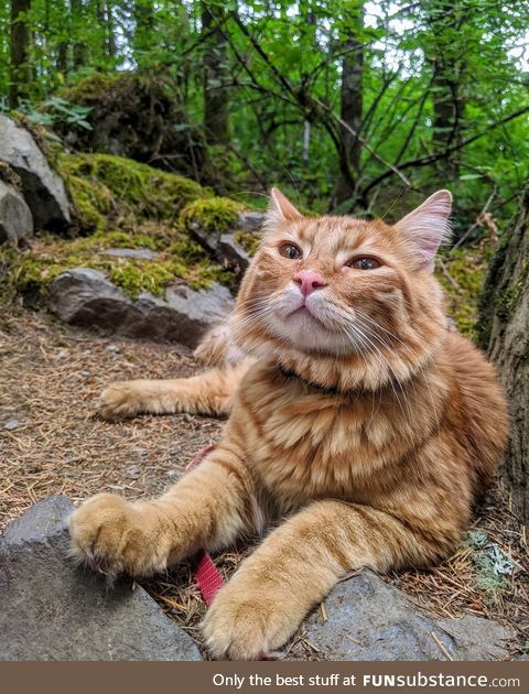 I took Ubi on his first hike today