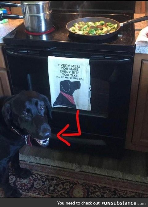 Every meal you make, I'll be watching you