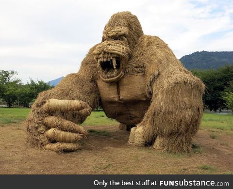 Giant straw gorilla in Japanese rice fields after harvest