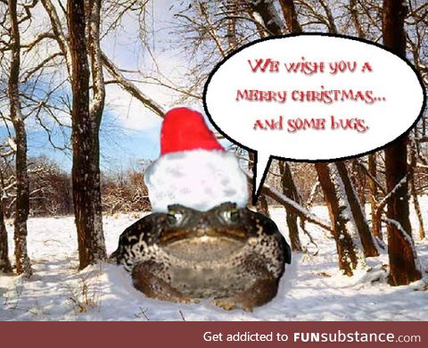 Froggo Fun #328 - Eli the Santa Toad Returns