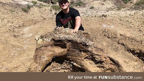College student finds 65-million-year-old fossil of Triceratops skull in North Dakota