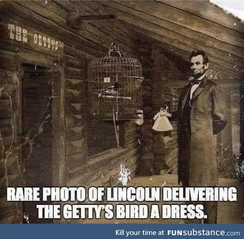 November 19, 1863. The iconic Getty's bird dress