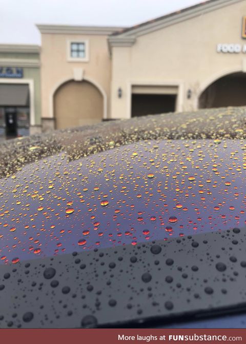 The way these raindrops look on the car