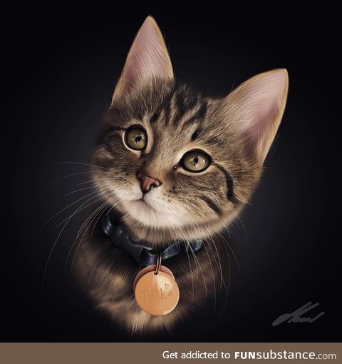 My pet portrait drawing, on iPad