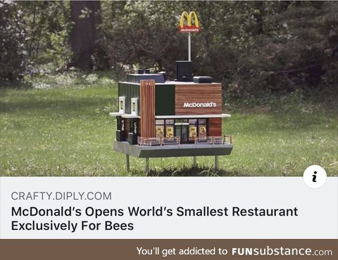What is this? A restaurant for ants?