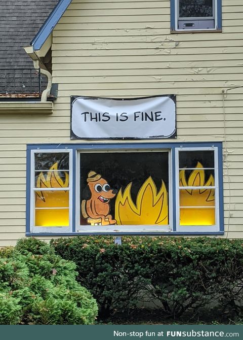 My neighbor recreate a meme