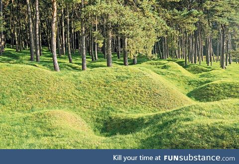 War trenches in a forest after 100 years