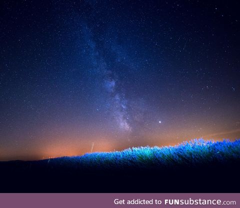 The Milky Way above a field of Lavender