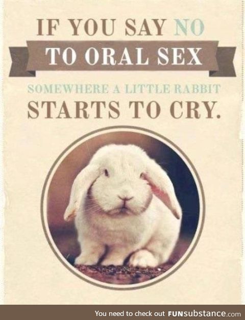 Stop making bunnies cry