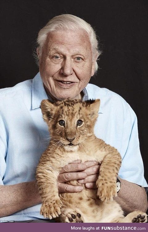 Sir David Attenborough recently celebrated his 94th birthday!