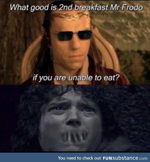 Why, Mr. Frodo, why? Why get up? Why keep fighting?